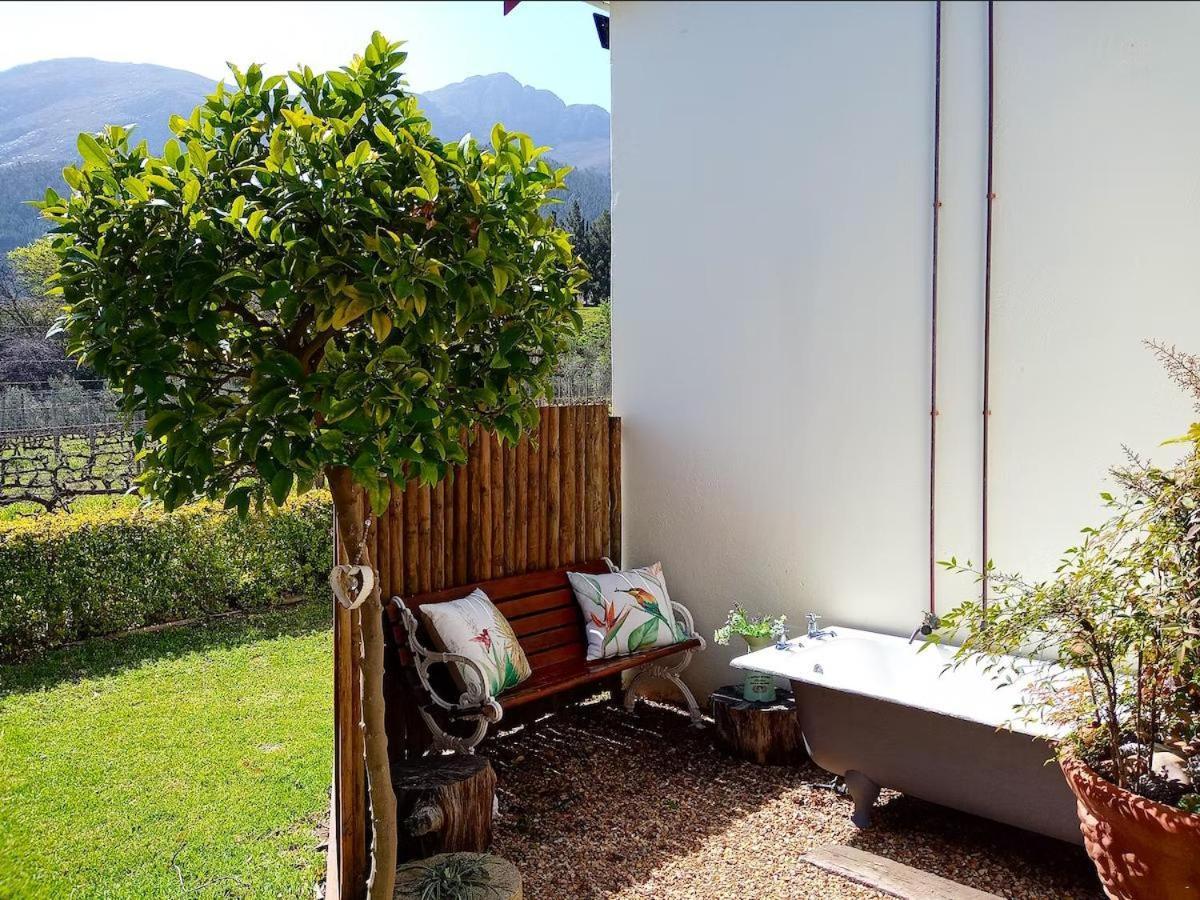 Olive And Vine Farm Cottage فرانستشوك الغرفة الصورة